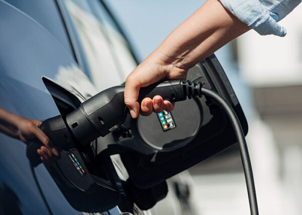 eMove® Mode 2 | EV charging cable • Premium quality • DEFA