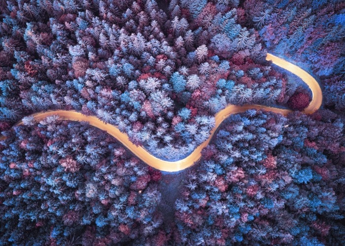 Birds eye view of a well lit road through a thick forrest in winter