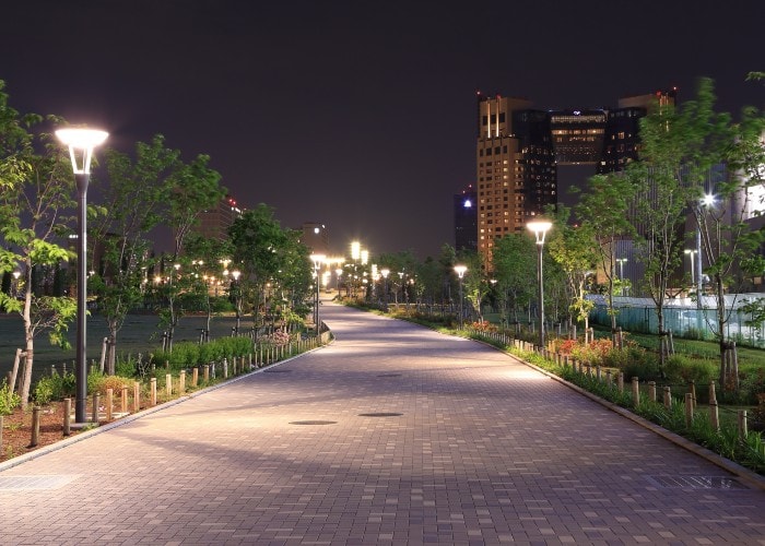 A brightly lit walkway through a beautiful park